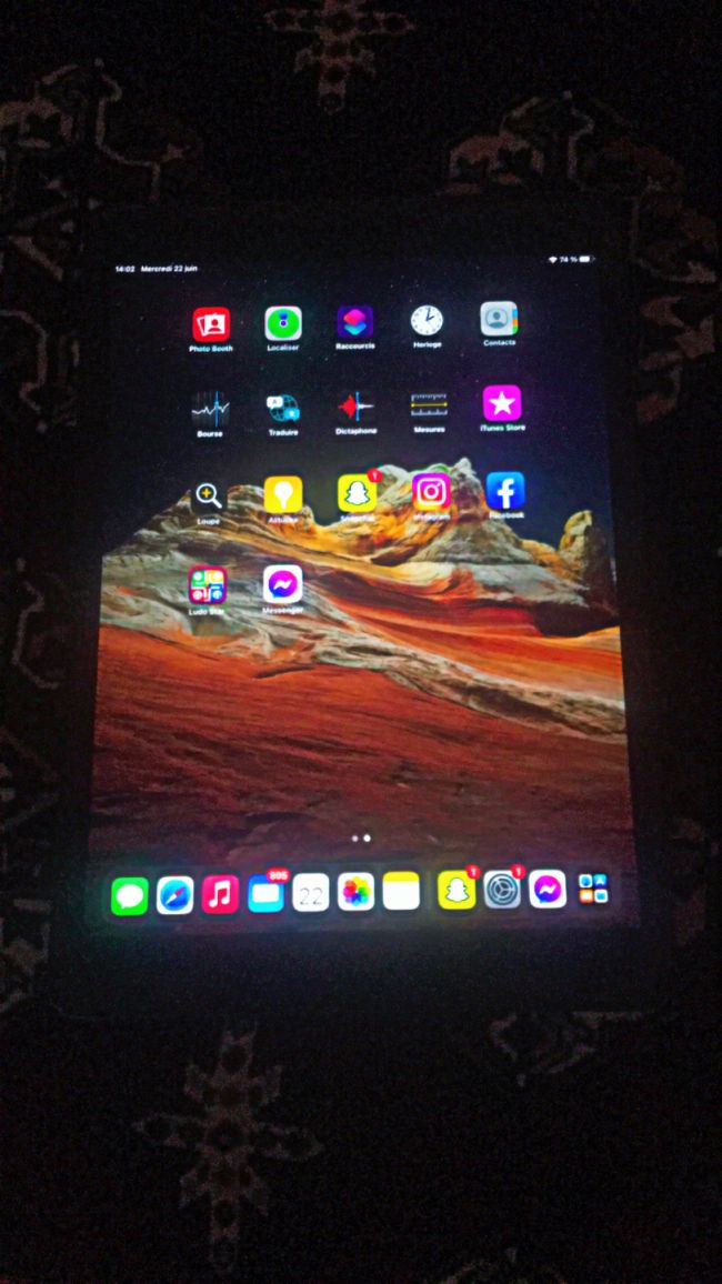 iPad 9eme generation (2021) 256g,wifi 