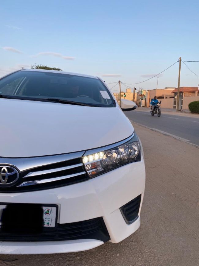 Toyota Corolla 2015  Gasoil Manuelle مديونه ماه مرقمه
